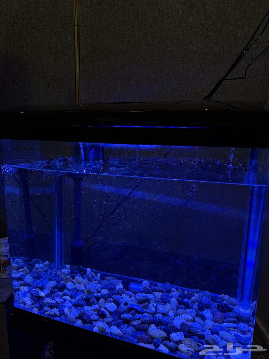 Fish tank with complete equipment, clean and used like new63078961227265113