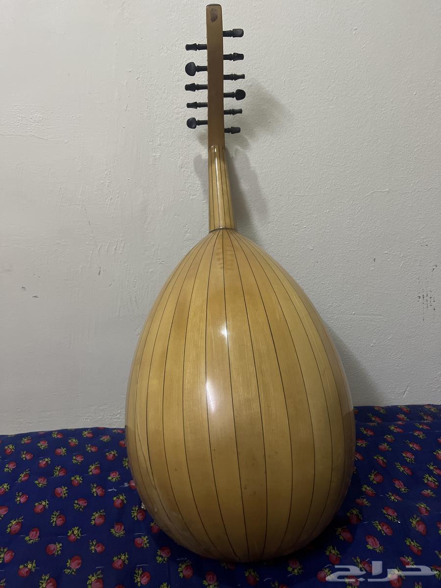 للبيع عود مورس63080616195713112