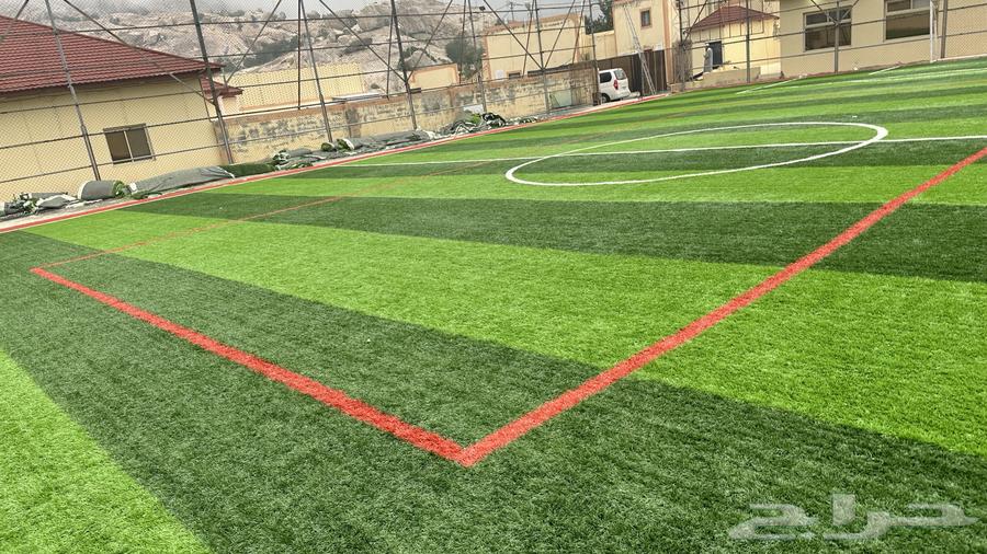 Artificial grass and home decorations63078982341379114