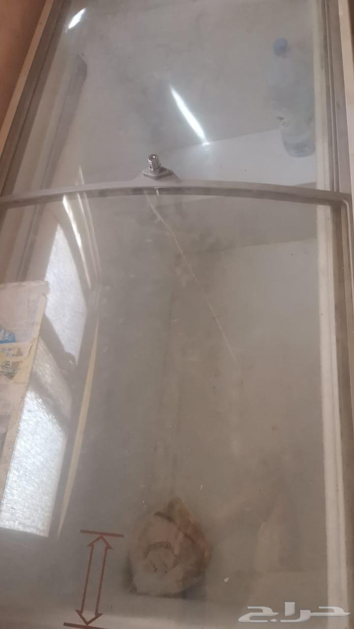فليزر للبيع63078956338177111