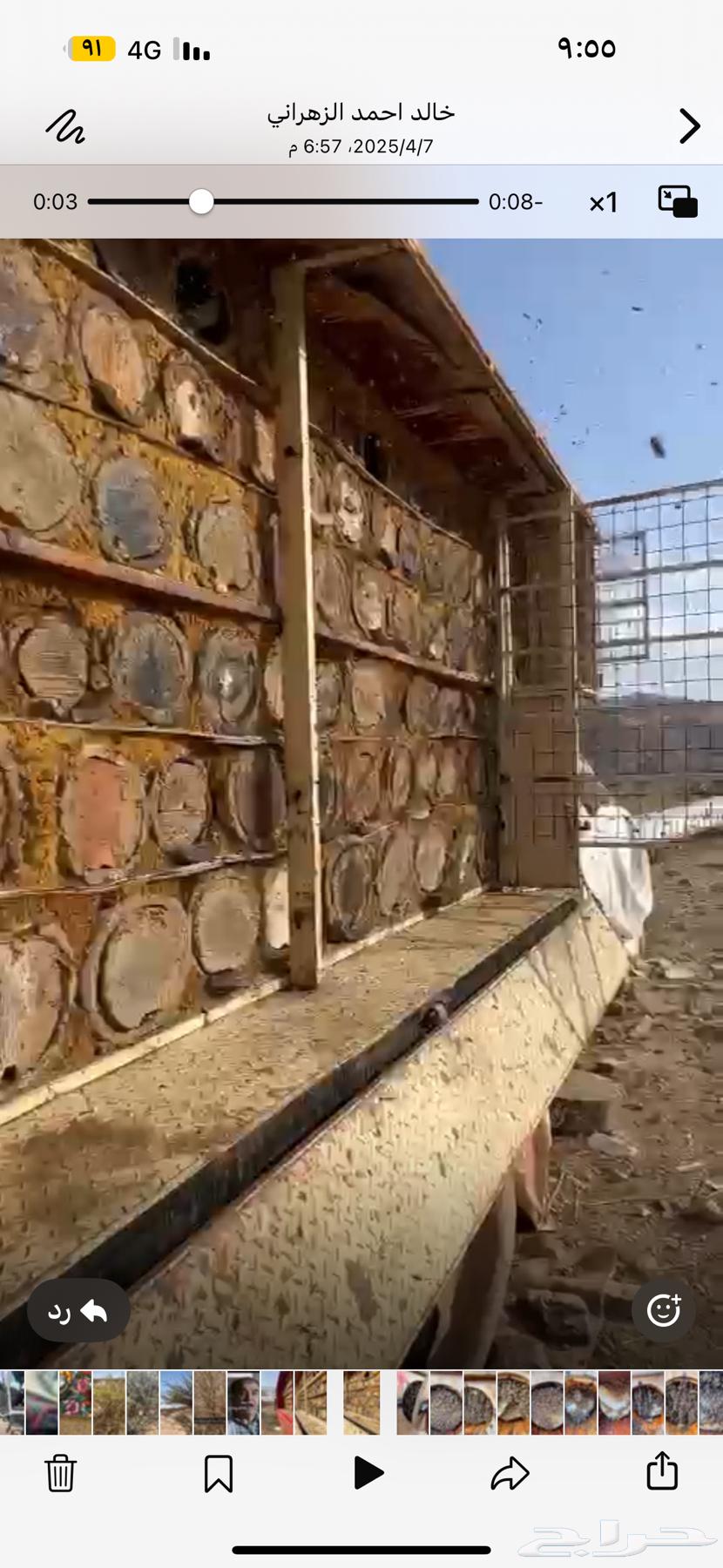 Bees for sale63117624135299112