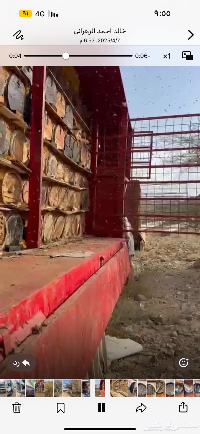 Bees for sale63117624135299110