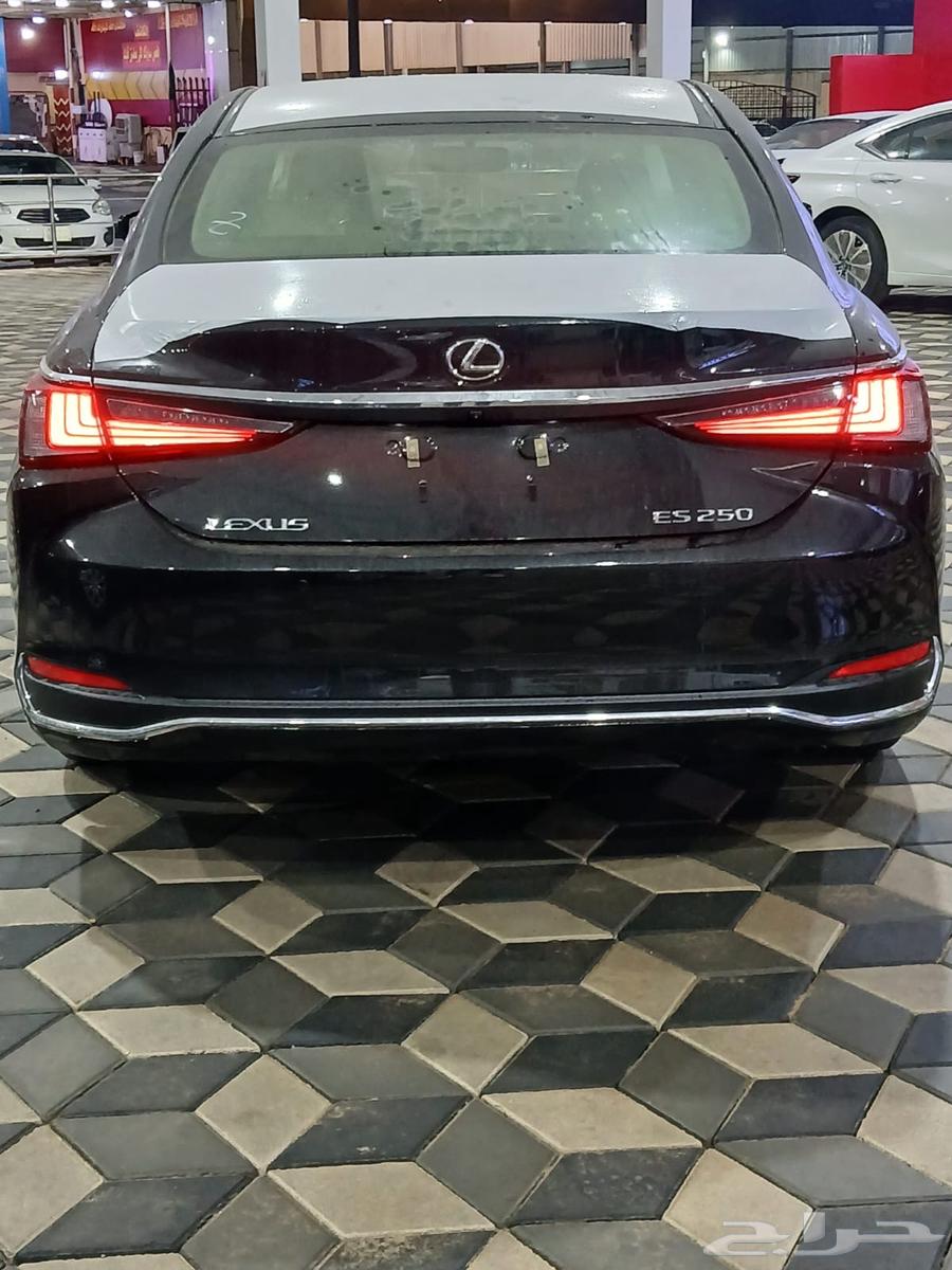 Lexus ES250 AA Model 2025 - Lowest Price63115862332803111