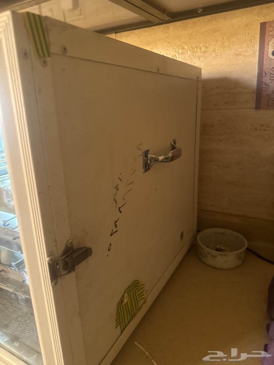 فقاسة تماتيك63470261361538111