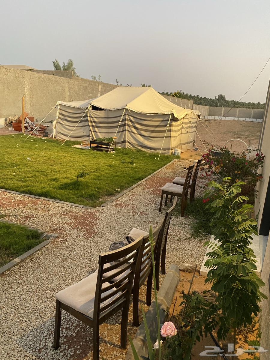 استراحة بعنيزه 2279م صك سكني حديث حي الجلده موقع مميز مرتفع62931699525251111