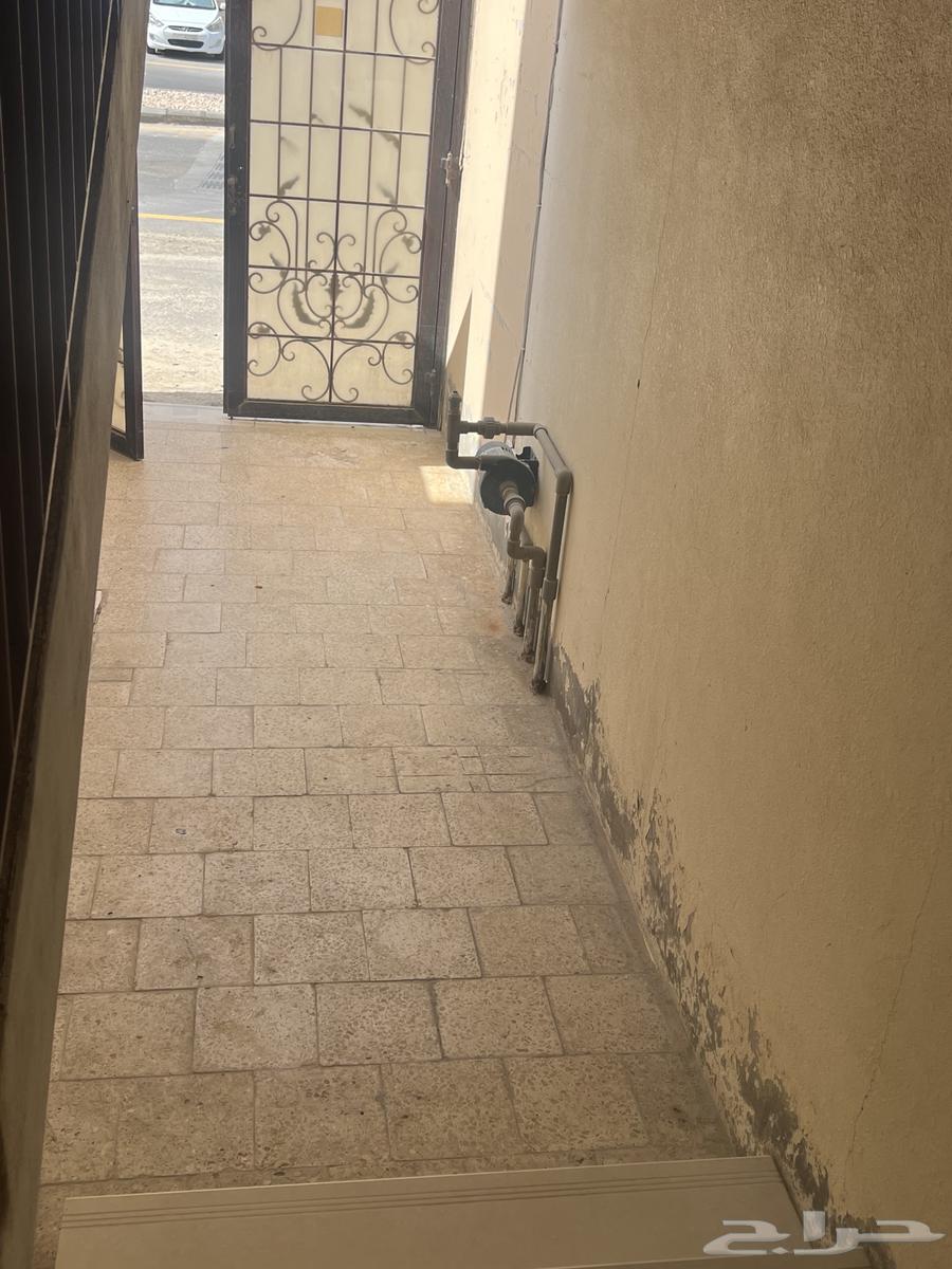 شقة عوائل للايجار629317002388501118