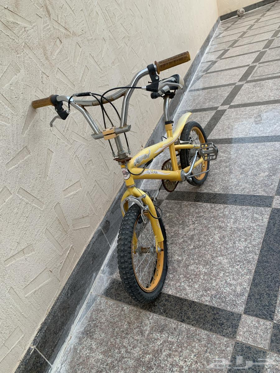 Cobra bike 20" does not need anything except new tires. The limit is 90.63076938147331115