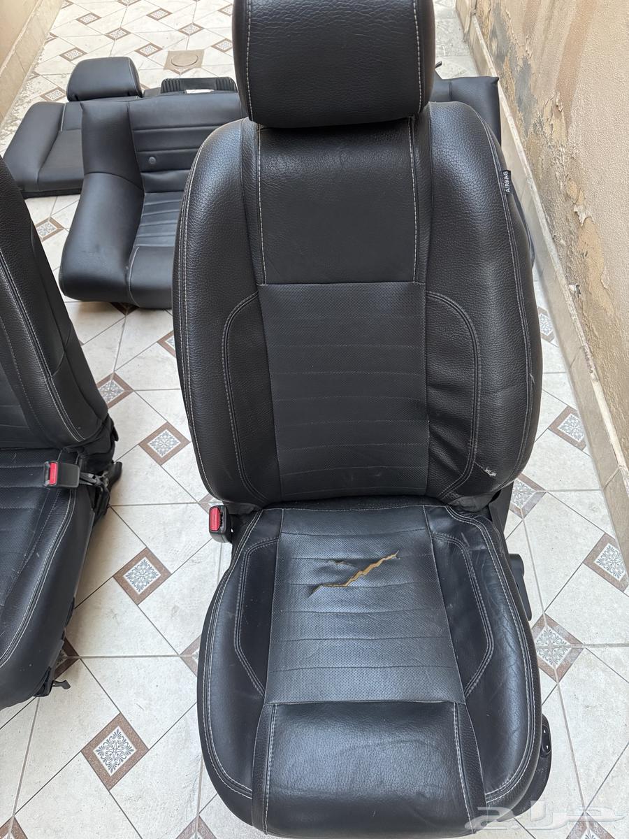 مراتب موستنق63117300126209110