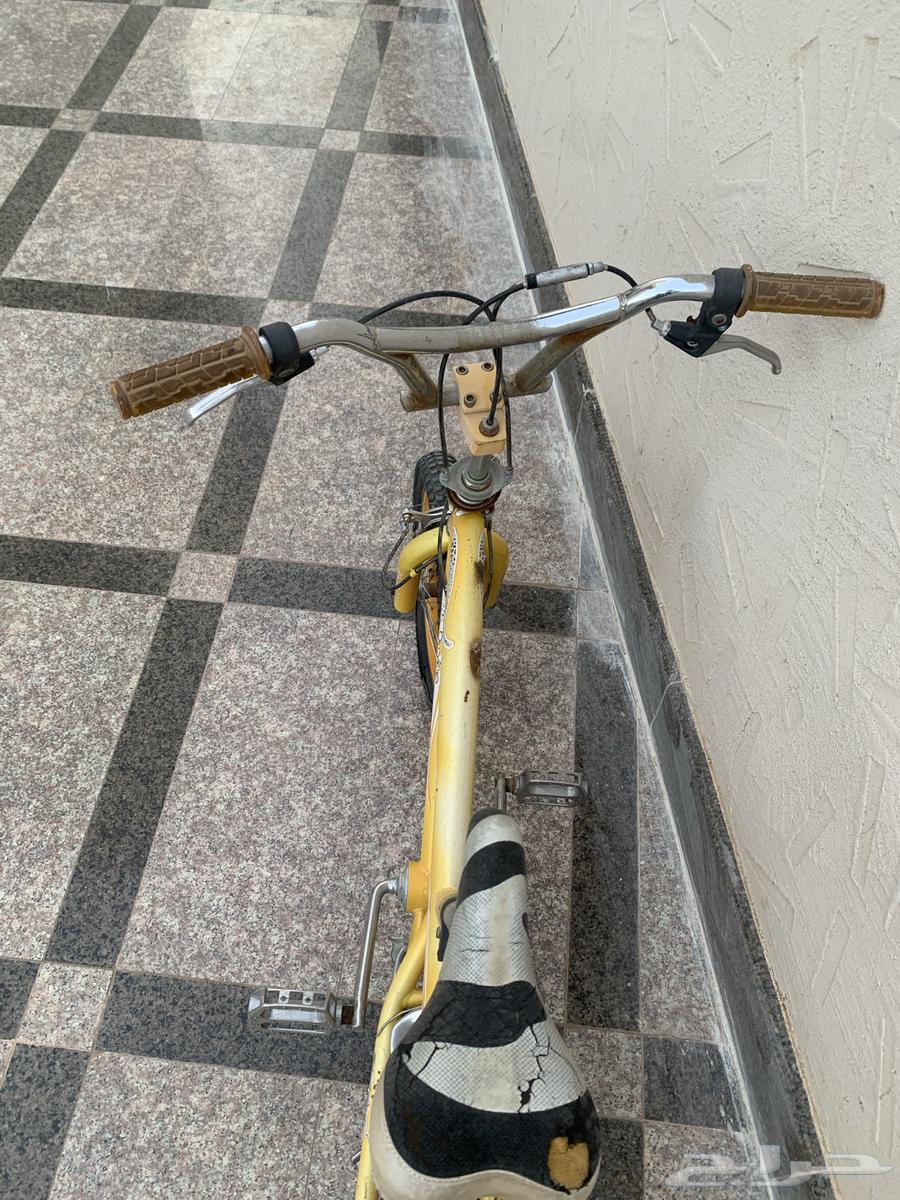 Cobra bike 20" does not need anything except new tires. The limit is 90.63076938147331114