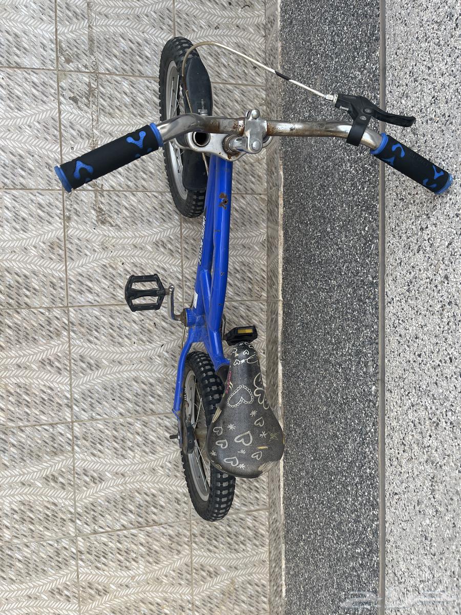 New children's bike63076527366530113