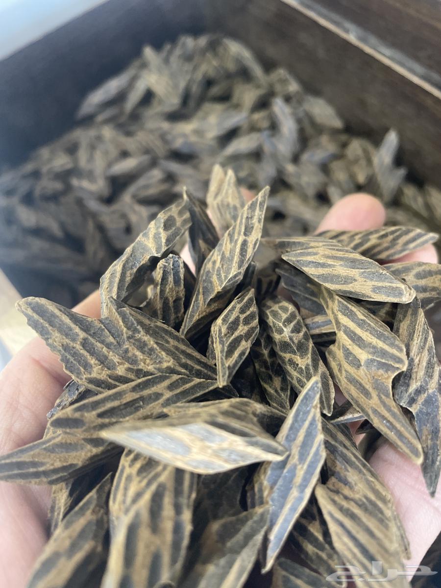 Wholesale prices of Cambodian Tiger Agarwood, first grade63078178758530110