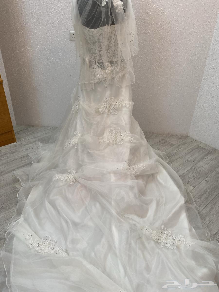 Wedding dress63077738552066113