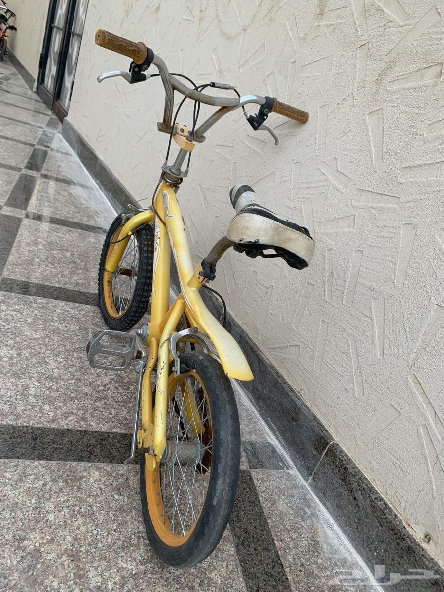 Cobra bike 20" does not need anything except new tires. The limit is 90.63076938147331111