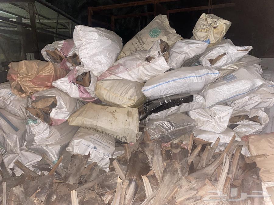 Date palm fronds for sale by the bag63077364685059111