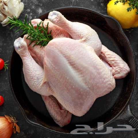 Frozen slaughtered chicken dishes630765682460181118