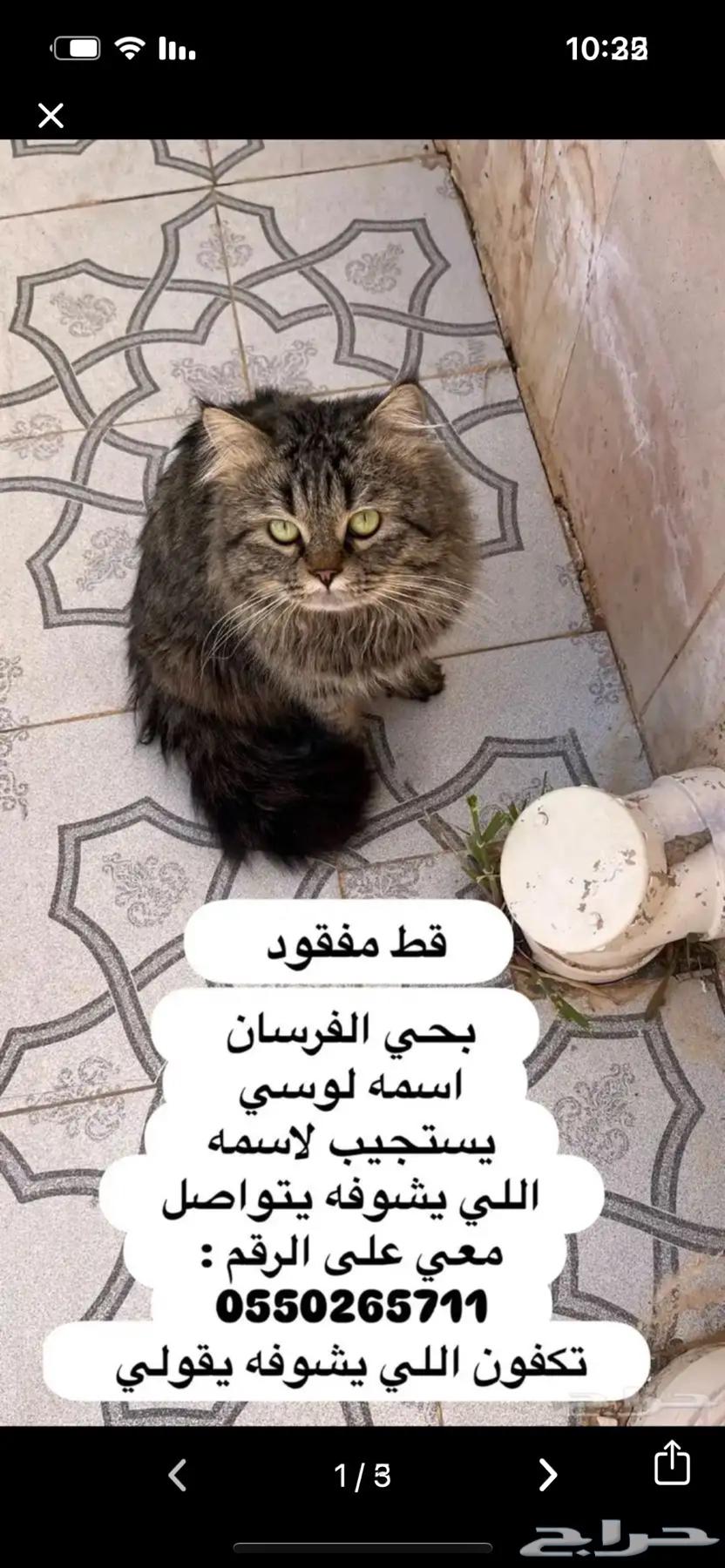 Lost63076173545986113