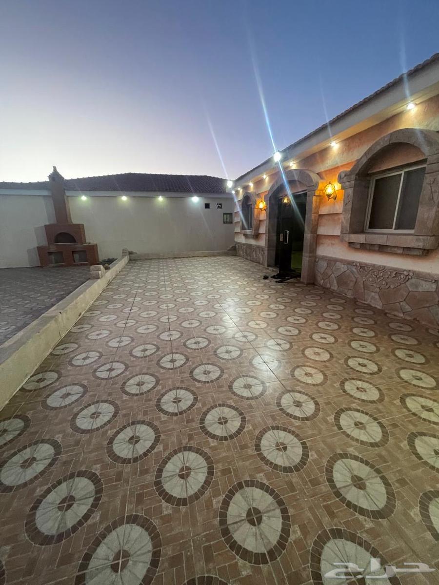 استراحه للايجار في السر62930664862339114