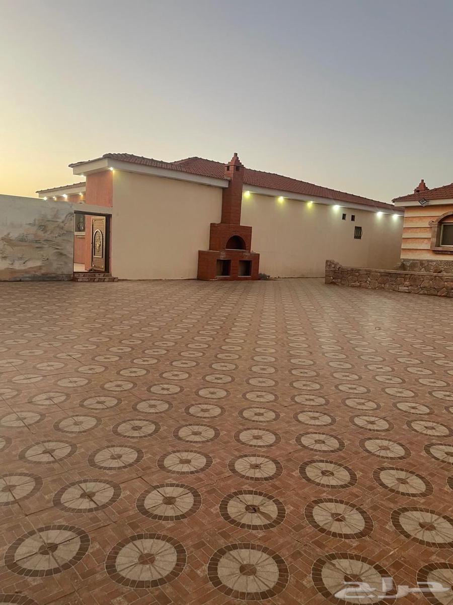 استراحه للايجار في السر62930664862339112
