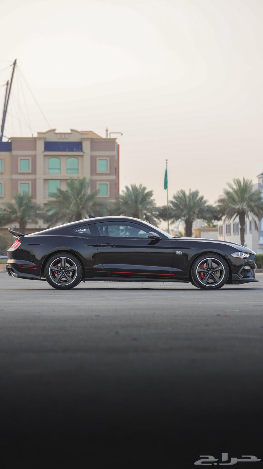 Mach1 Mustang .. Agency (( Sold ))63111052485635114