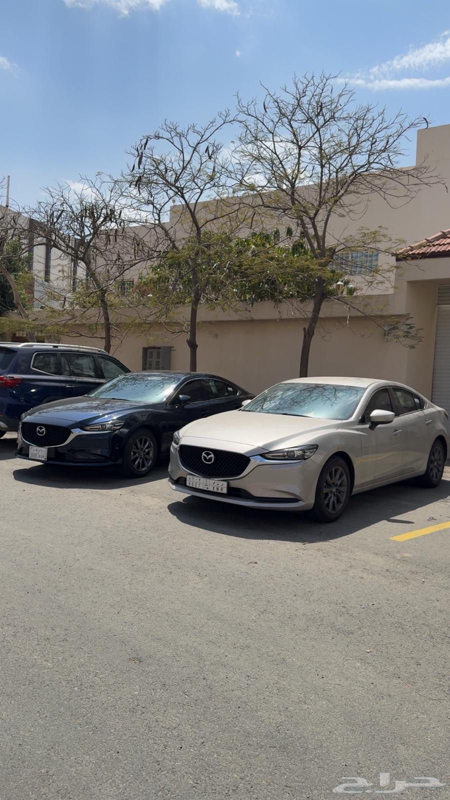 مشاوير خاصه مشوار من الطائف الى مطار جده الطائف63441858339330110