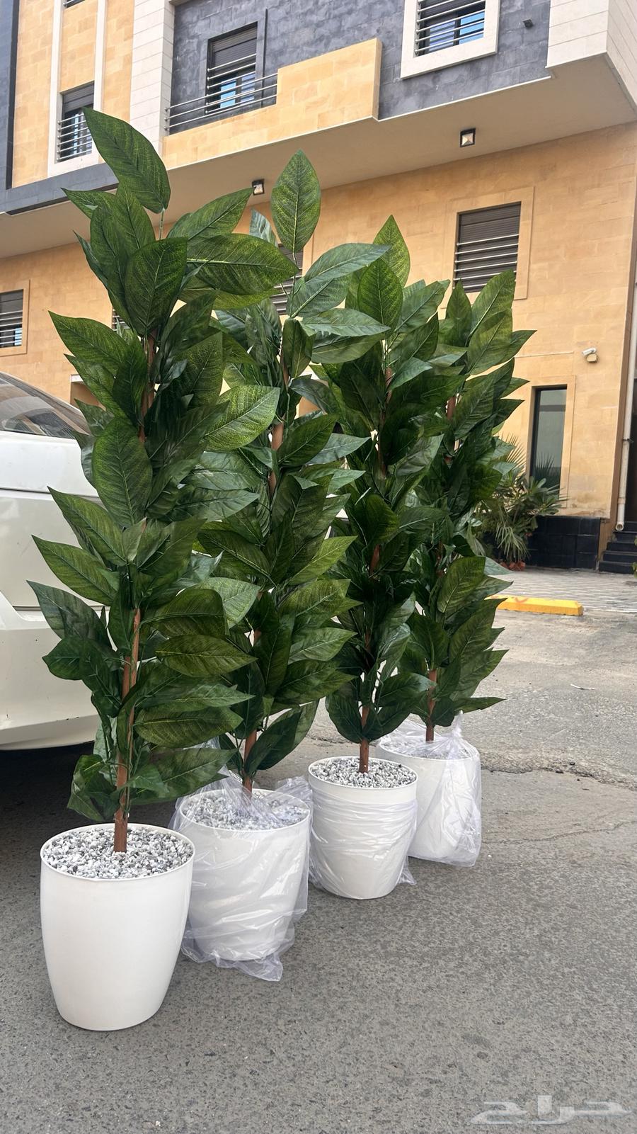 Artificial tree630745799537941112