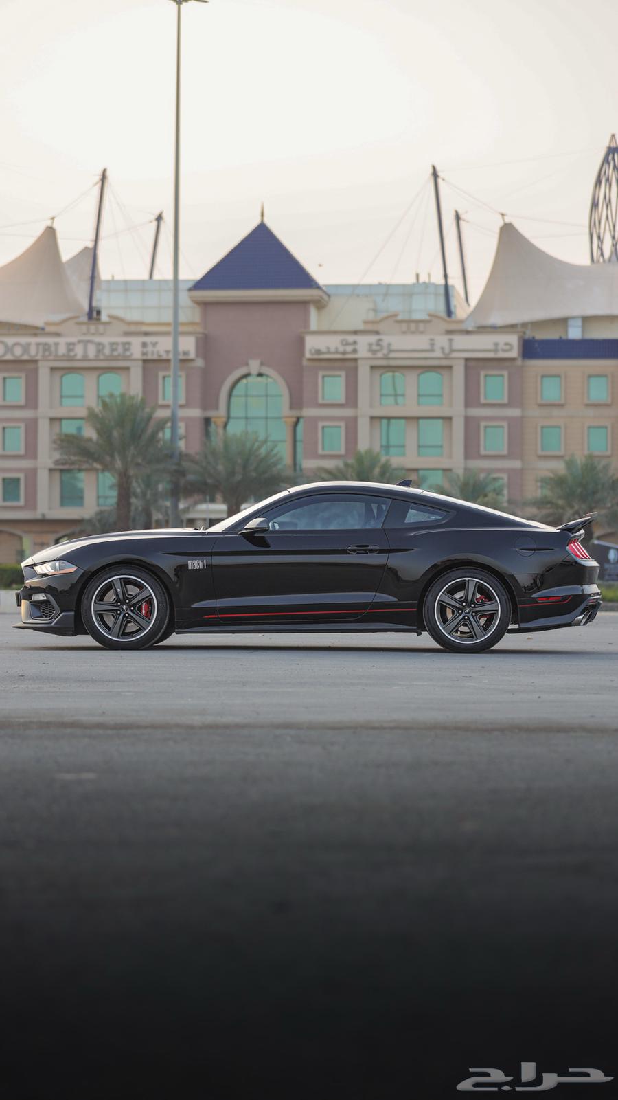 Mach1 Mustang .. Agency (( Sold ))63111052485635112