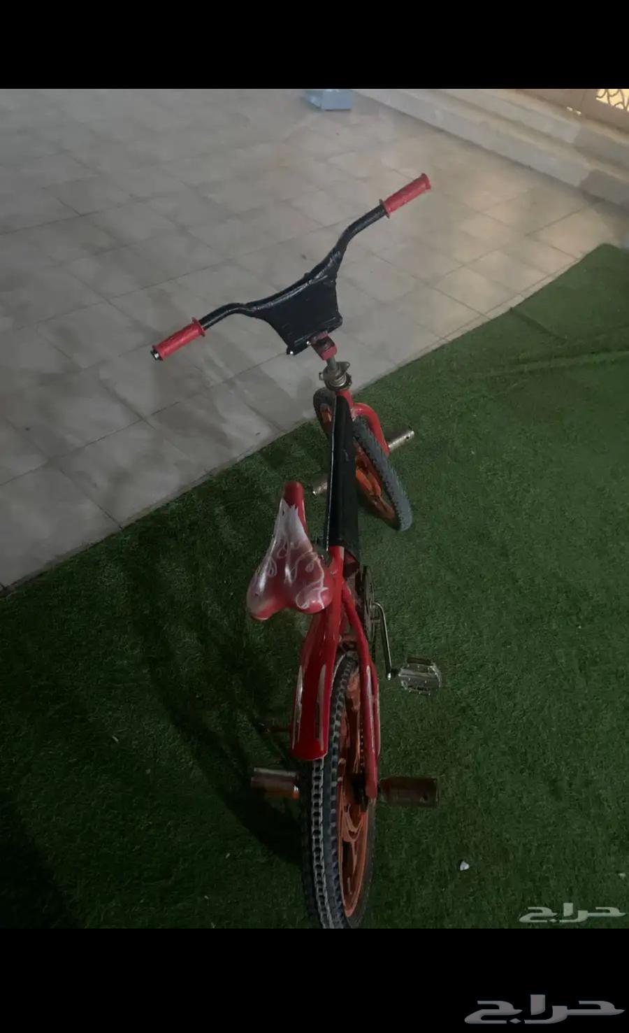 Rarely cycle tiger63075411236098111