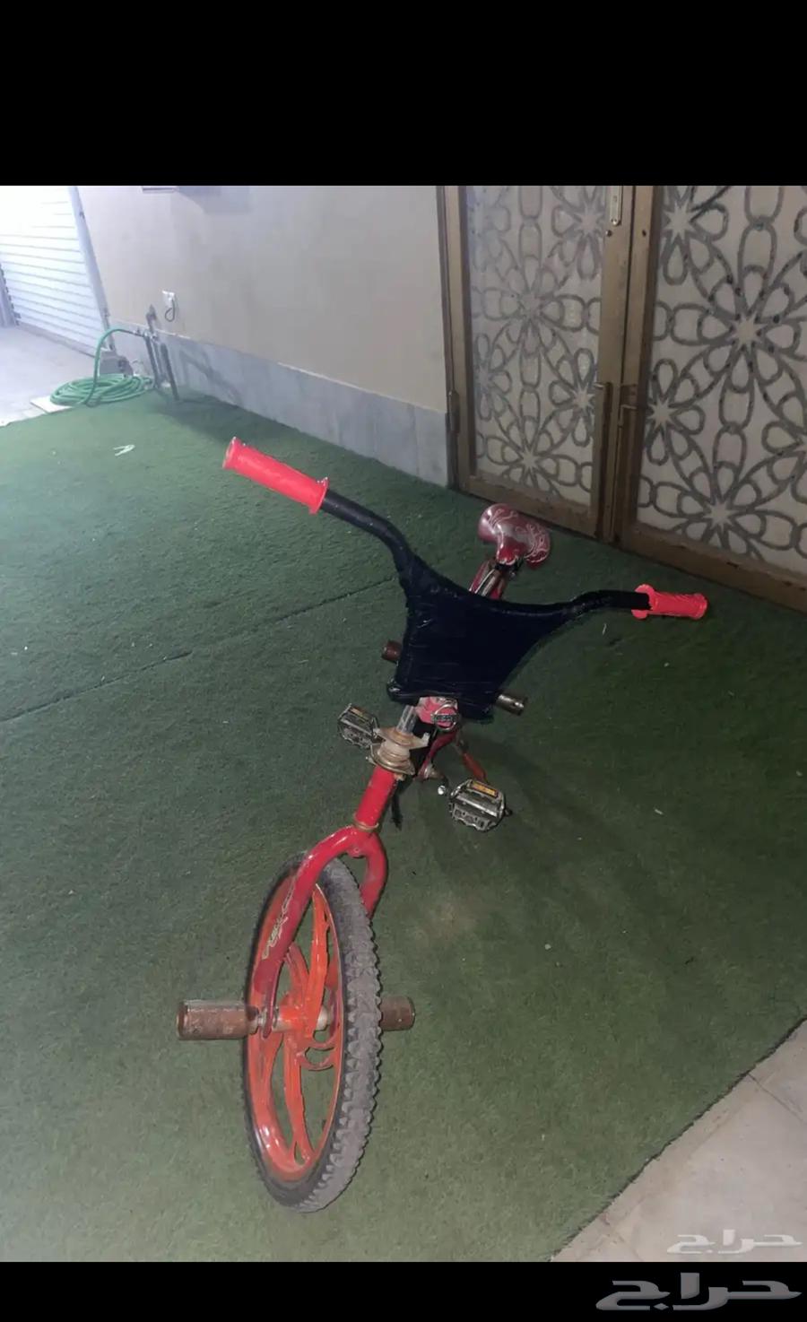 Rarely cycle tiger63075411236098112