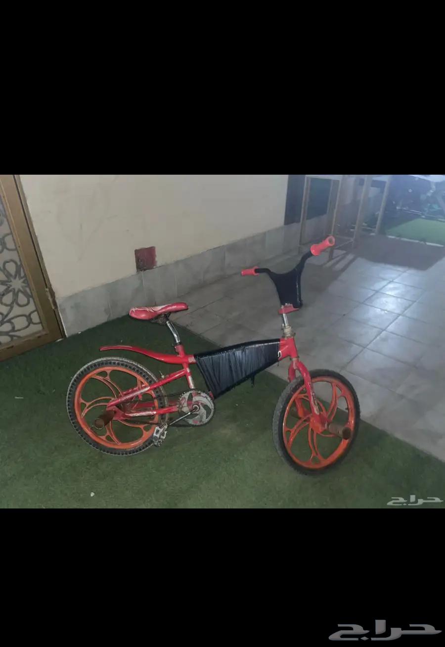 Rarely cycle tiger63075411236098112