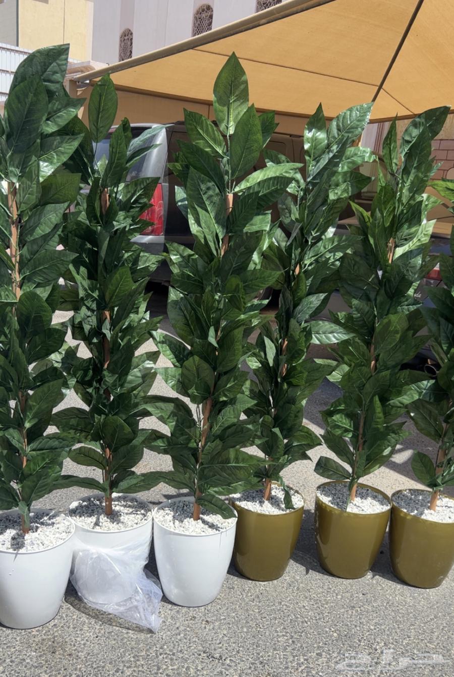 Artificial tree63074579953794111