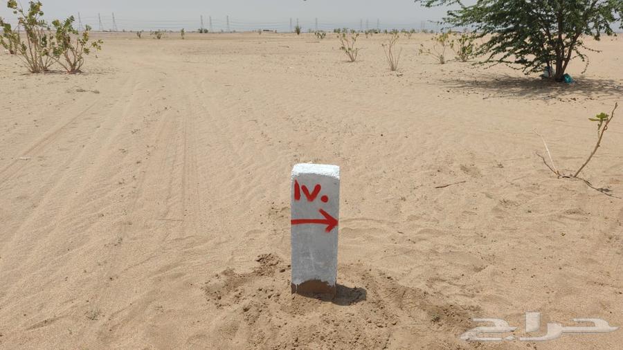 Al-Milaisi land plot63016086538882112