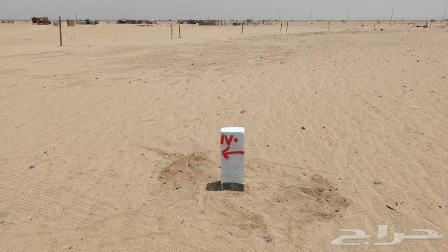 Al-Milaisi land plot63016086538882113
