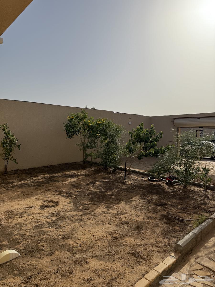تم البيع63470054140162112