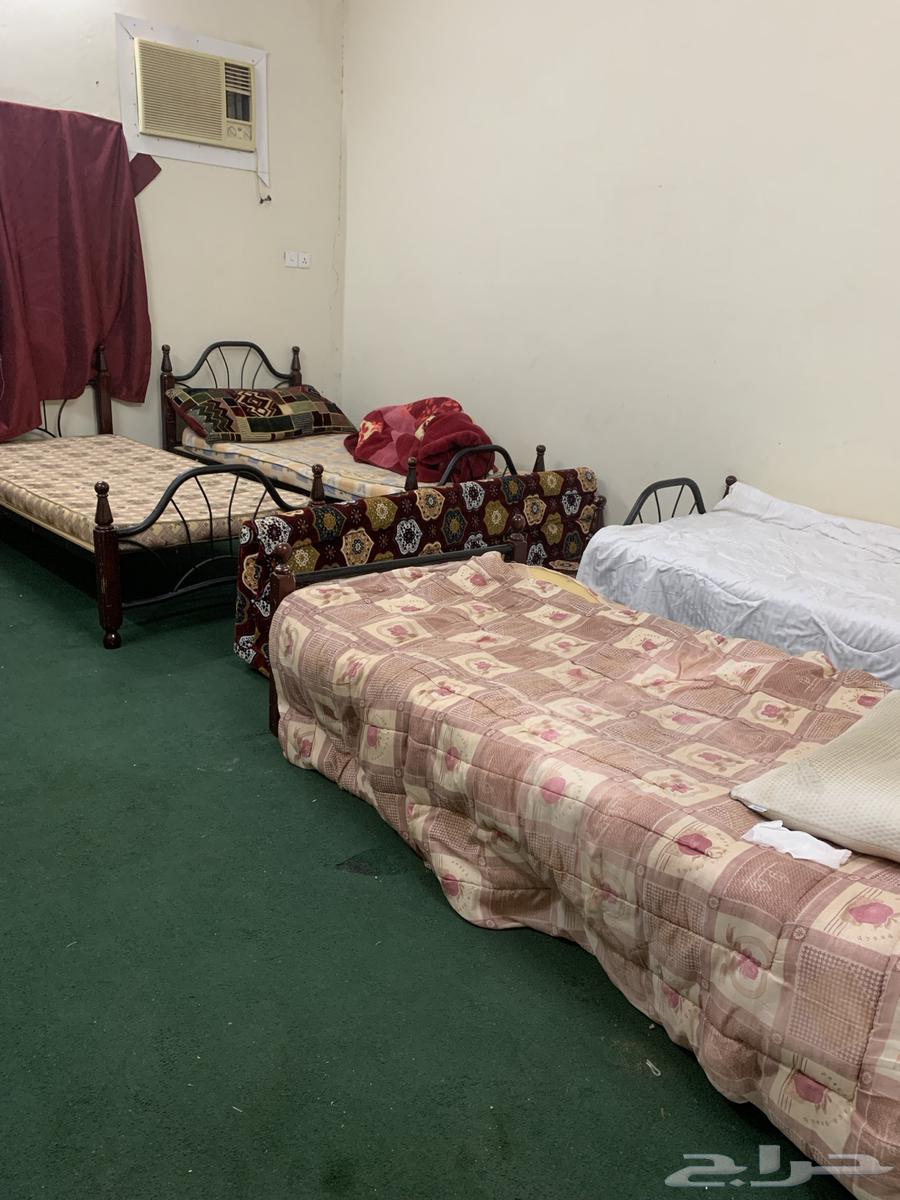 استراحة مفروشه في حبران داخل مزرعه للتأجير اليومي62930665747330114
