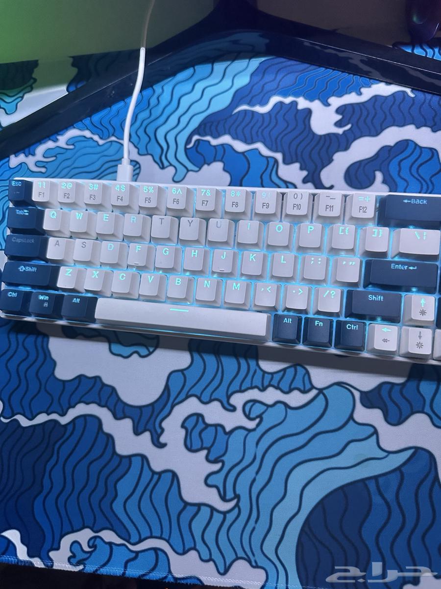 Mouse and keyboard63074992121730112
