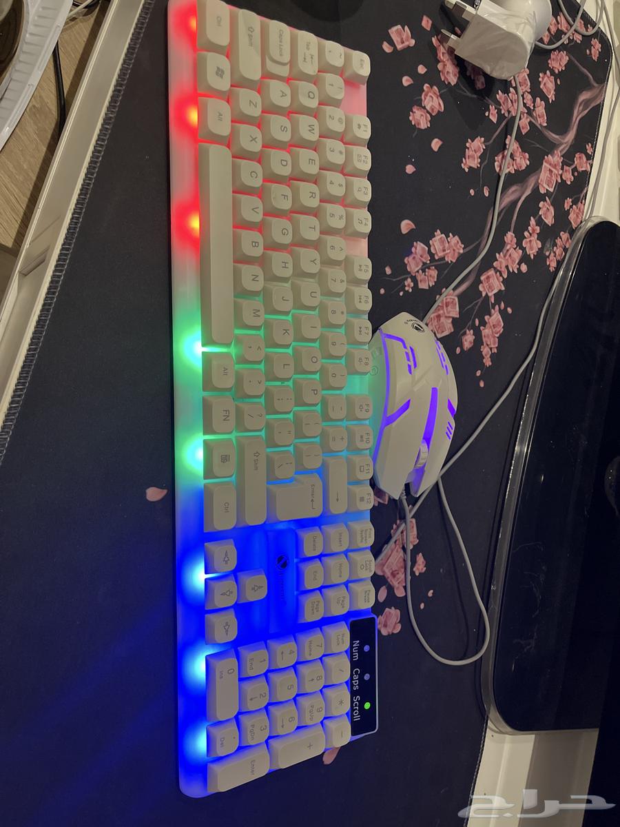 Keyboard and mouse630729024499231122
