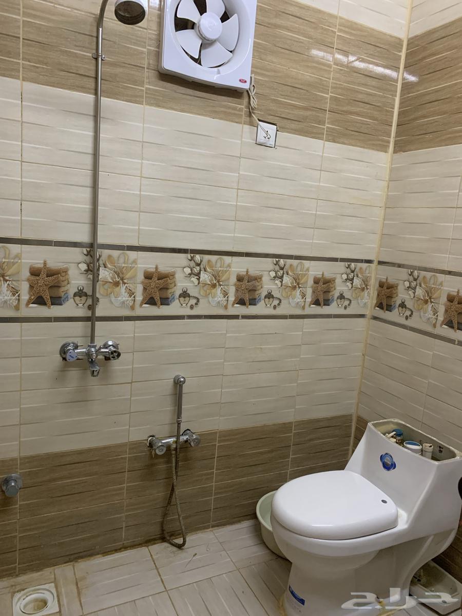 استراحة مفروشه في حبران داخل مزرعه للتأجير اليومي62930665747330113