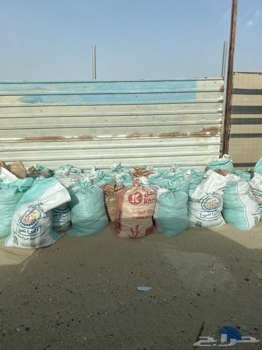 Fertilize with fertilizers in quantities630754167504671115