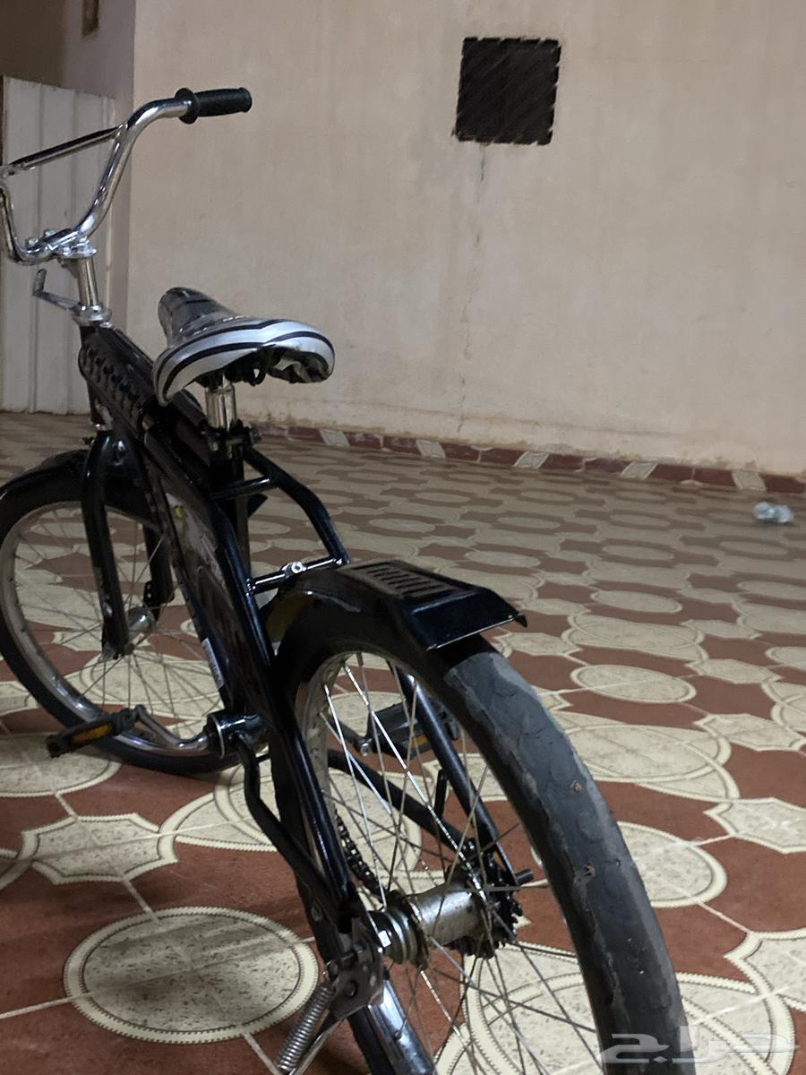 سيكل رامبو جديد ما جاه شي630729024956171120