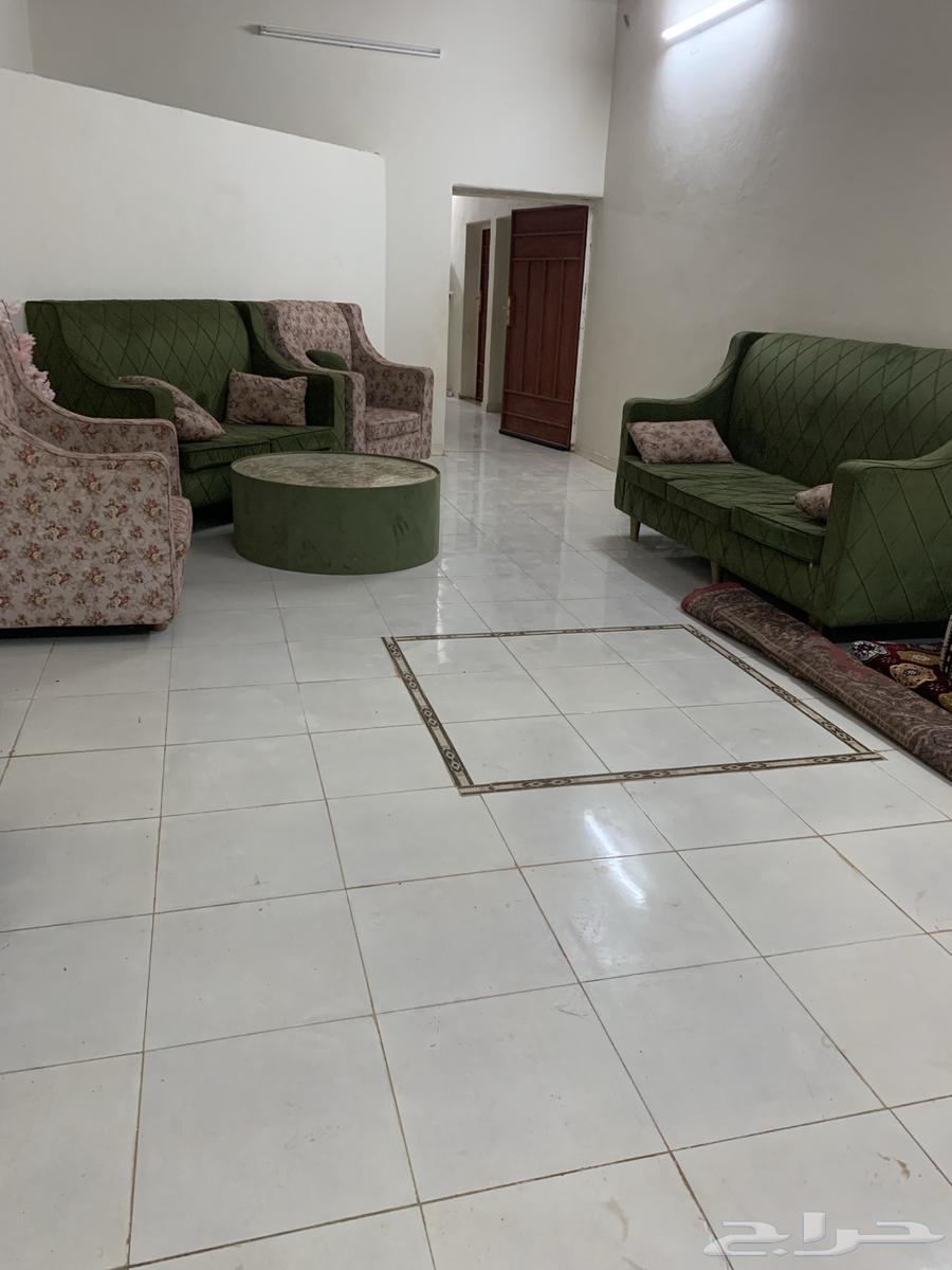 استراحة مفروشه في حبران داخل مزرعه للتأجير اليومي62930665747330112