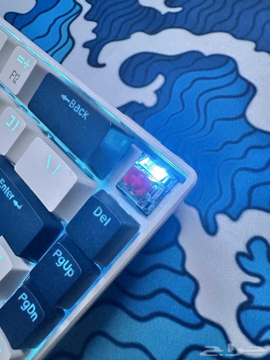 Mouse and keyboard63074992121730114