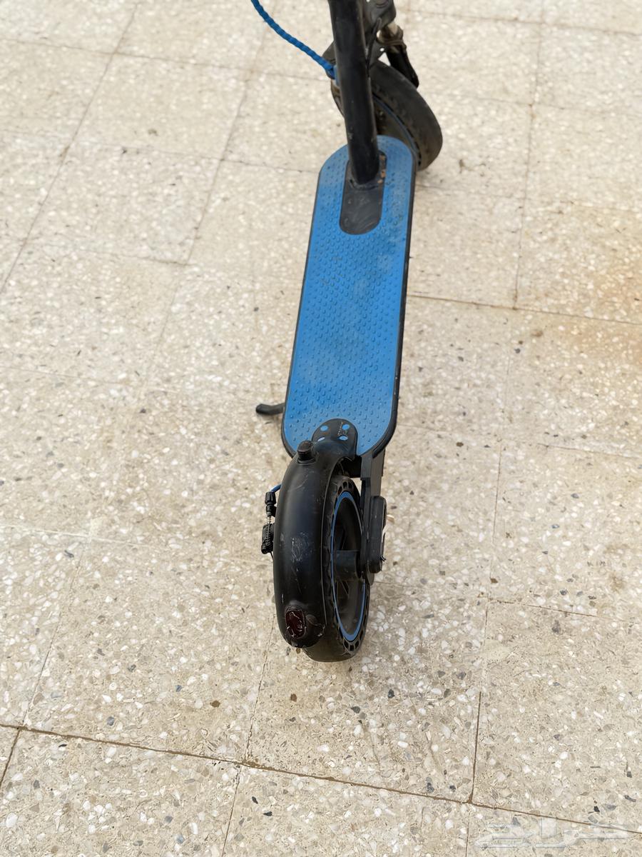Electric scooter63073759885825113