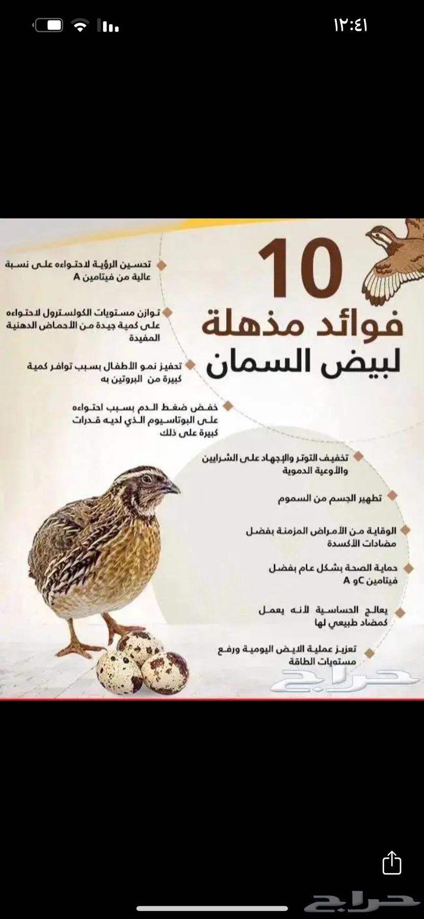 سمان وبيض63075379073154111