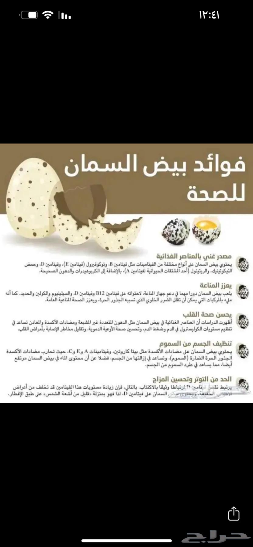 سمان وبيض63075379073154112