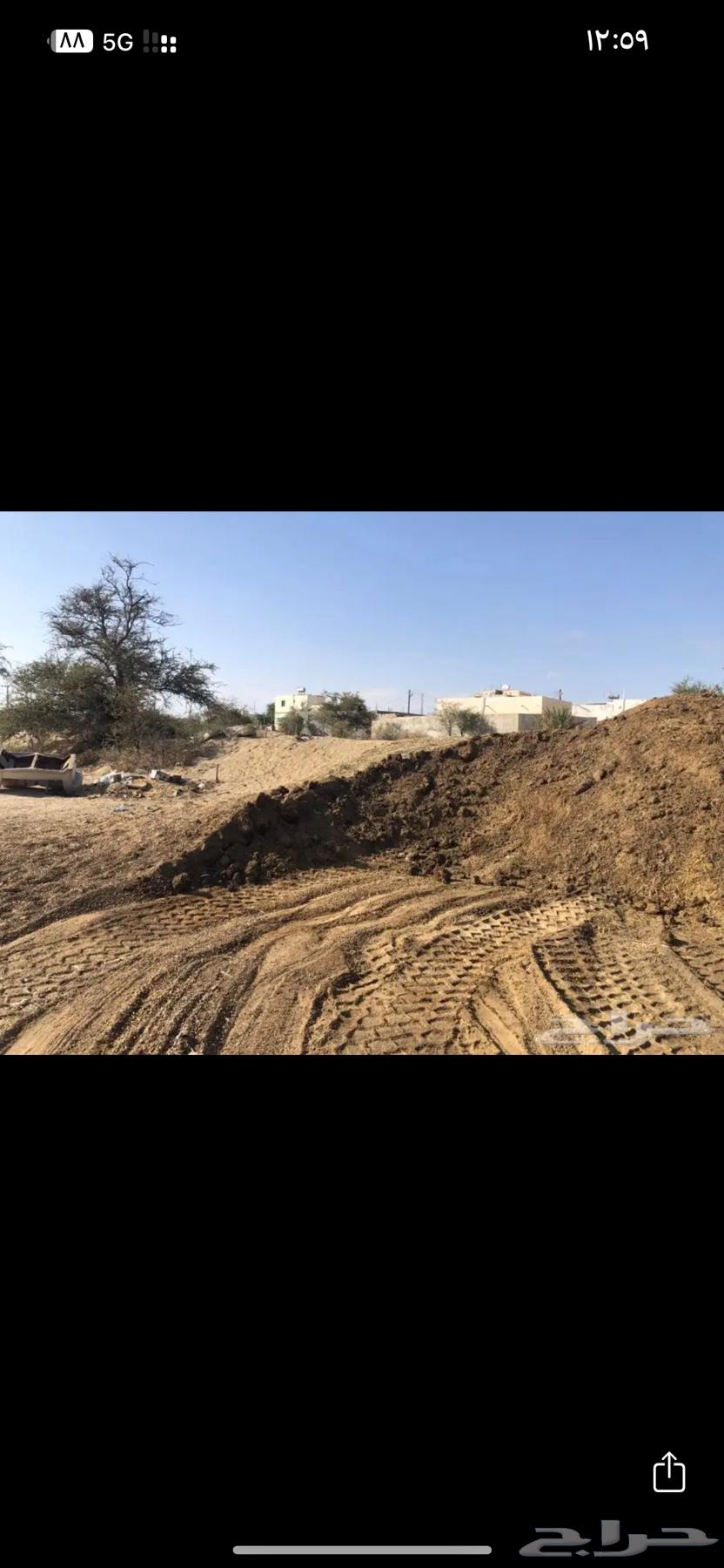 دمن غنم سماد حمولة تريله صندوق 26 متر صافي لا حشايش مشروط63470116647425111