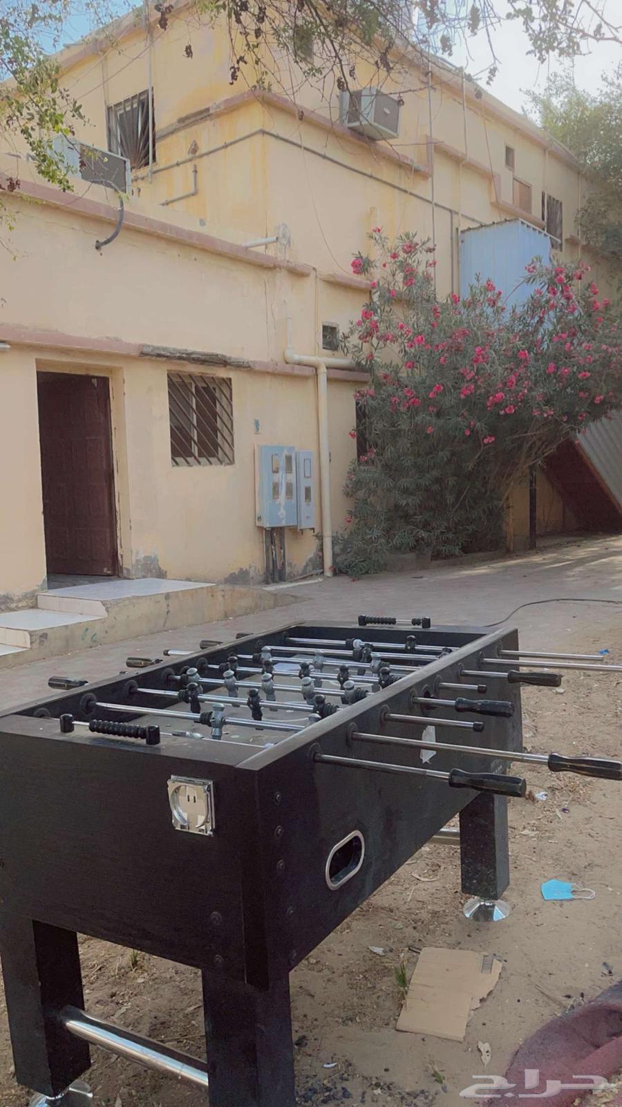 For sale, a falafel machine from Al-Falih company, original and used for only one month63071690094209111
