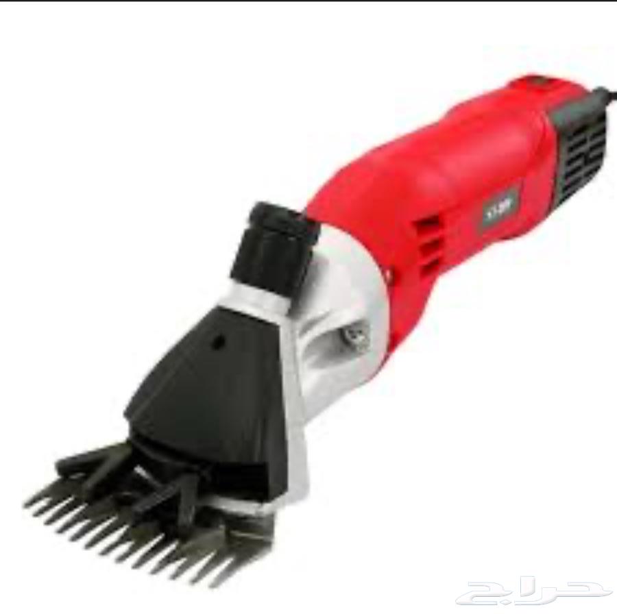 Sheep shearing comb630724987477771121