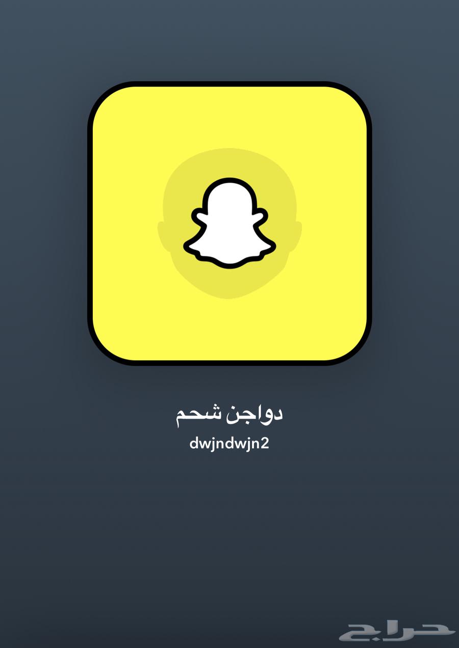 ارنب ذبح يوميا وزن 1كيلو63072906769537111