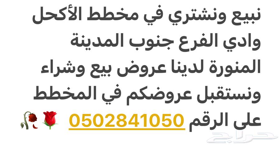 أرض للبيع بدايةالأكحل جنوب المدينة ونستقبل عروضكم بيع وشراء62930667999361111
