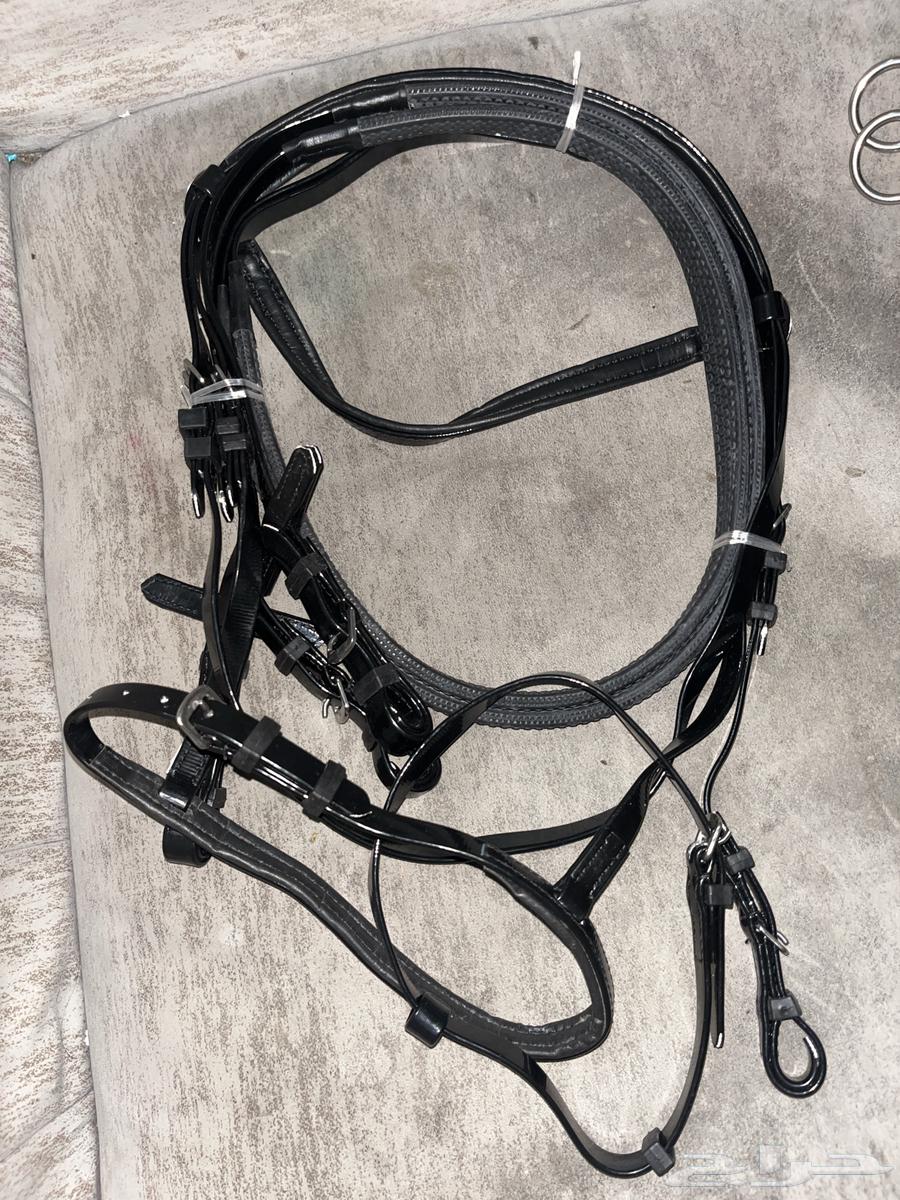 New Golf Horse, never used and new chest630733618361611116